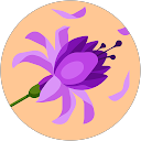 Debbie Sturt profile picture